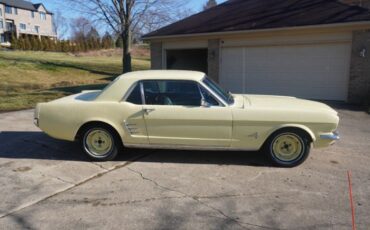 Unknown-Mustang-1966-Springtime-Yellow-Black-13