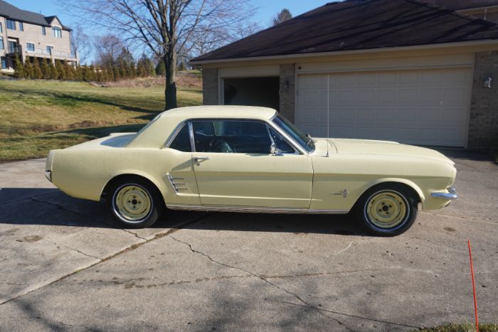 Unknown-Mustang-1966-Springtime-Yellow-Black-13