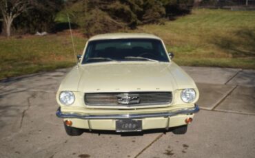 Unknown-Mustang-1966-Springtime-Yellow-Black-14