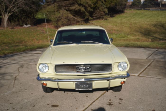 Unknown-Mustang-1966-Springtime-Yellow-Black-14