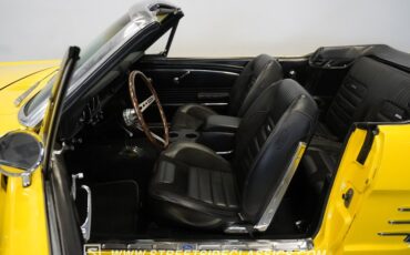 Unknown-Mustang-1966-Springtime-Yellow-Black-2