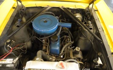 Unknown-Mustang-1966-Springtime-Yellow-Black-3