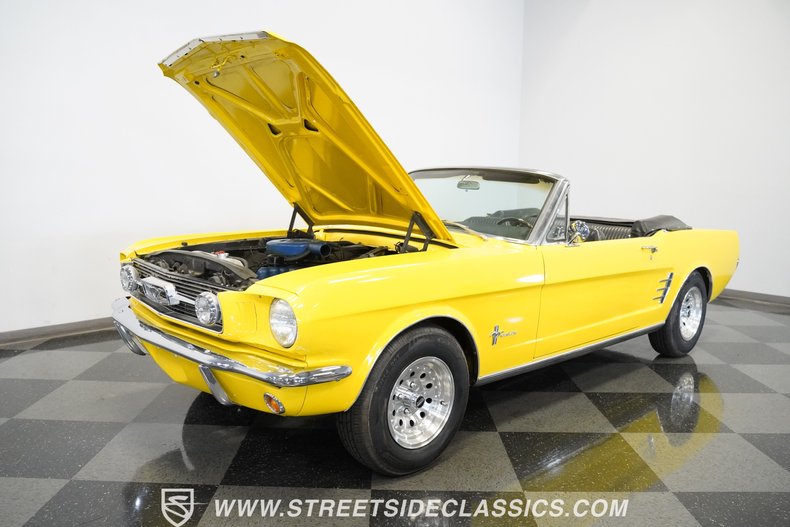Unknown-Mustang-1966-Springtime-Yellow-Black-33
