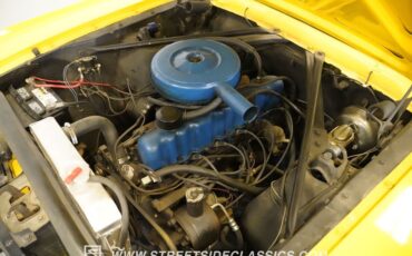 Unknown-Mustang-1966-Springtime-Yellow-Black-34
