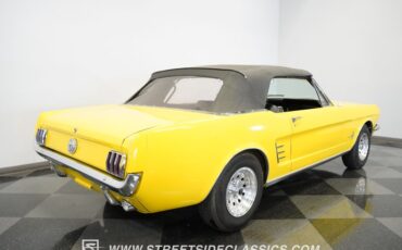 Unknown-Mustang-1966-Springtime-Yellow-Black-44