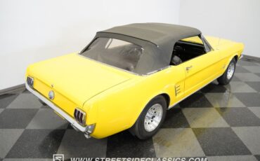 Unknown-Mustang-1966-Springtime-Yellow-Black-45