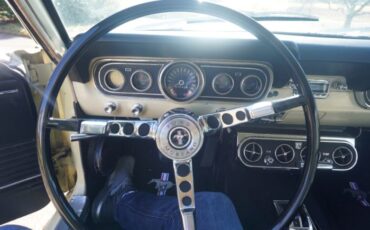 Unknown-Mustang-1966-Springtime-Yellow-Black-5