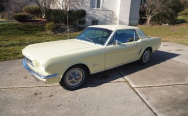 Unknown-Mustang-1966-Springtime-Yellow-Black