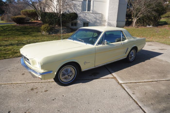 Unknown-Mustang-1966-Springtime-Yellow-Black
