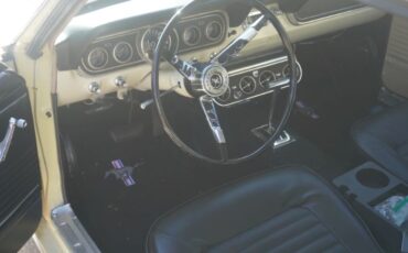 Unknown-Mustang-1966-Springtime-Yellow-Black-6