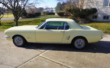 Unknown-Mustang-1966-Springtime-Yellow-Black-7
