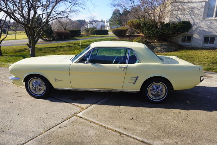 Unknown-Mustang-1966-Springtime-Yellow-Black-7