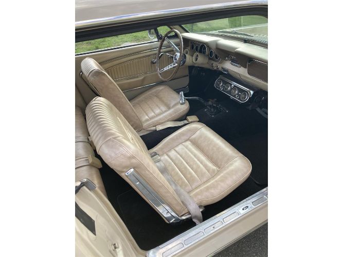 Unknown-Mustang-1966-Two-Tone-Deluxe-Pony-15