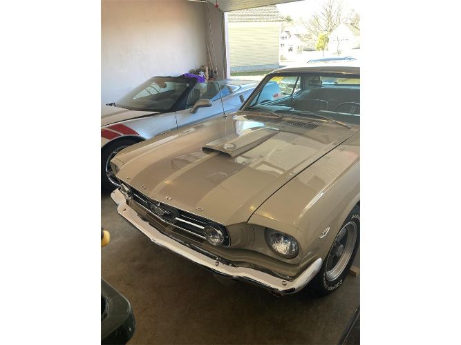 Unknown-Mustang-1966-Two-Tone-Deluxe-Pony-19