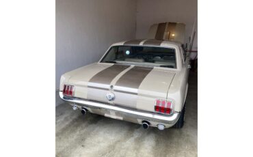 Unknown-Mustang-1966-Two-Tone-Deluxe-Pony-21