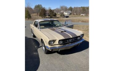 Unknown-Mustang-1966-Two-Tone-Deluxe-Pony-26