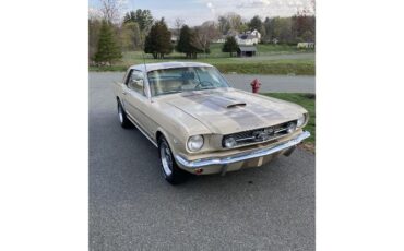 Unknown-Mustang-1966-Two-Tone-Deluxe-Pony