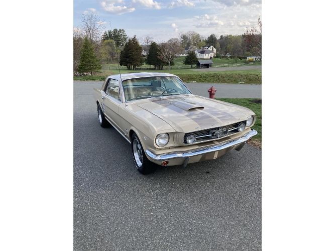 Unknown-Mustang-1966-Two-Tone-Deluxe-Pony
