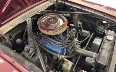 Unknown-Mustang-1966-Vintage-Burgundy-Parchment-36