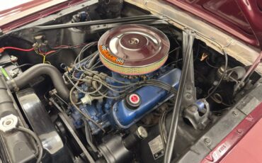 Unknown-Mustang-1966-Vintage-Burgundy-Parchment-38