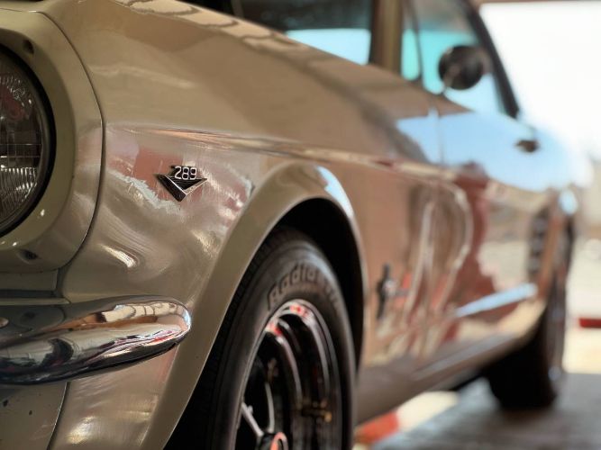 Unknown-Mustang-1966-White-2