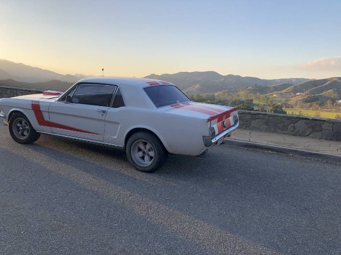 Unknown-Mustang-1966-White