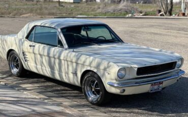 Unknown-Mustang-1966-White
