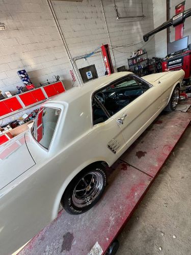 Unknown-Mustang-1966-White-3