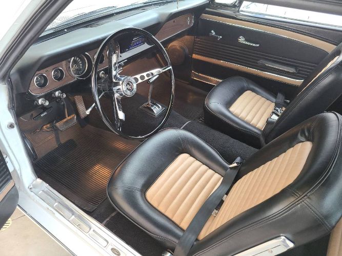 Unknown-Mustang-1966-White-3