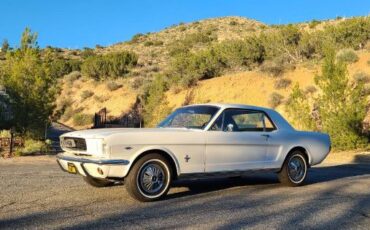 Unknown-Mustang-1966-White-4