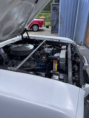 Unknown-Mustang-1966-White-4