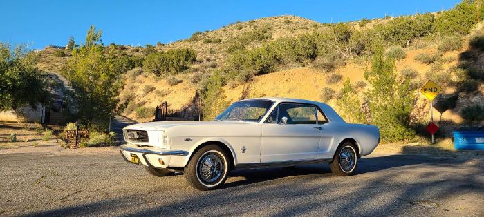 Unknown-Mustang-1966-White-4