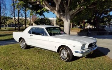 Unknown-Mustang-1966-White-5
