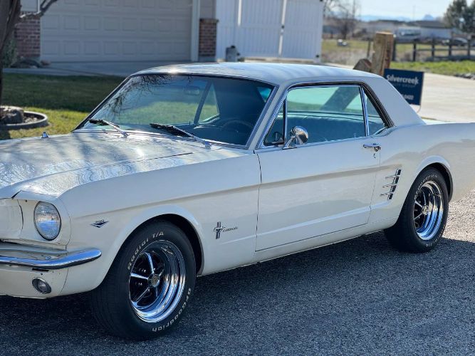 Unknown-Mustang-1966-White-5