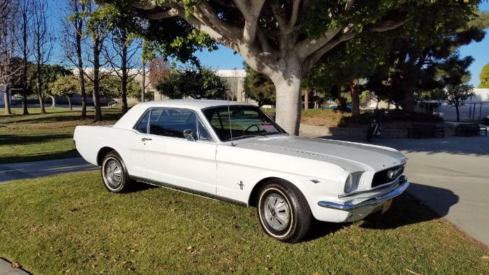 Unknown-Mustang-1966-White-5