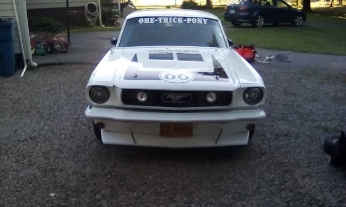 Unknown-Mustang-1966-White-6