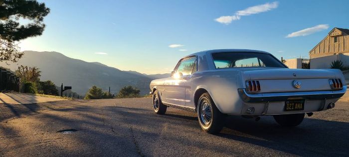 Unknown-Mustang-1966-White-7