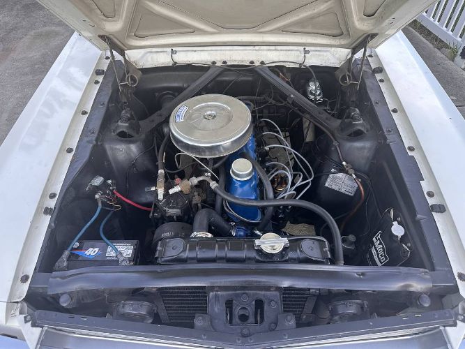 Unknown-Mustang-1966-White