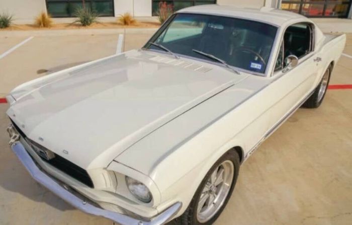 Unknown-Mustang-1966-White-Black-1