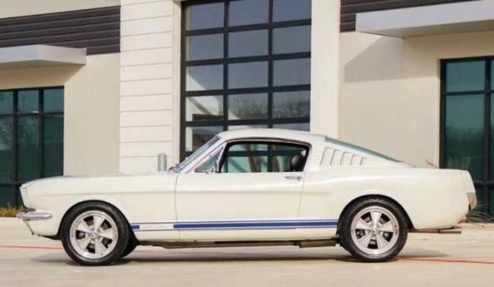 Unknown-Mustang-1966-White-Black-2