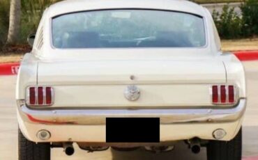 Unknown-Mustang-1966-White-Black-3