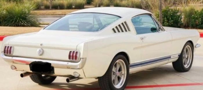 Unknown-Mustang-1966-White-Black-6