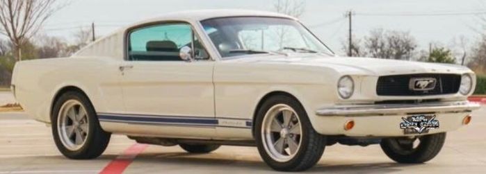 Unknown-Mustang-1966-White-Black-7