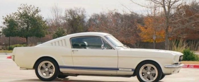 Unknown-Mustang-1966-White-Black-8