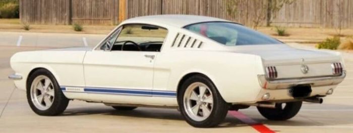 Unknown-Mustang-1966-White-Black-9