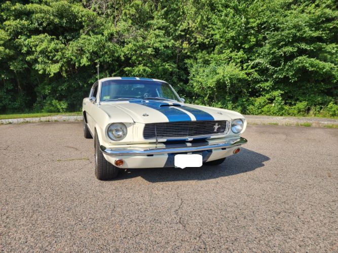 Unknown-Mustang-1966-WhiteBlue-Stripe-Black-15