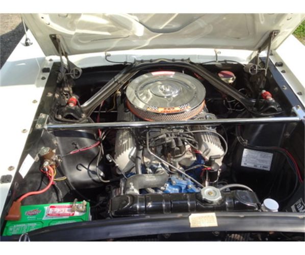 Unknown-Mustang-1966-WhiteBlue-Stripe-Black-17