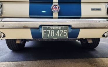 Unknown-Mustang-1966-WhiteBlue-Stripe-Black-3