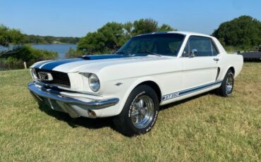 Unknown-Mustang-1966-WhiteBlue-Stripes-BlueWhite-pony-1