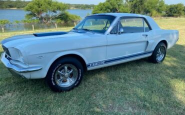 Unknown-Mustang-1966-WhiteBlue-Stripes-BlueWhite-pony-3